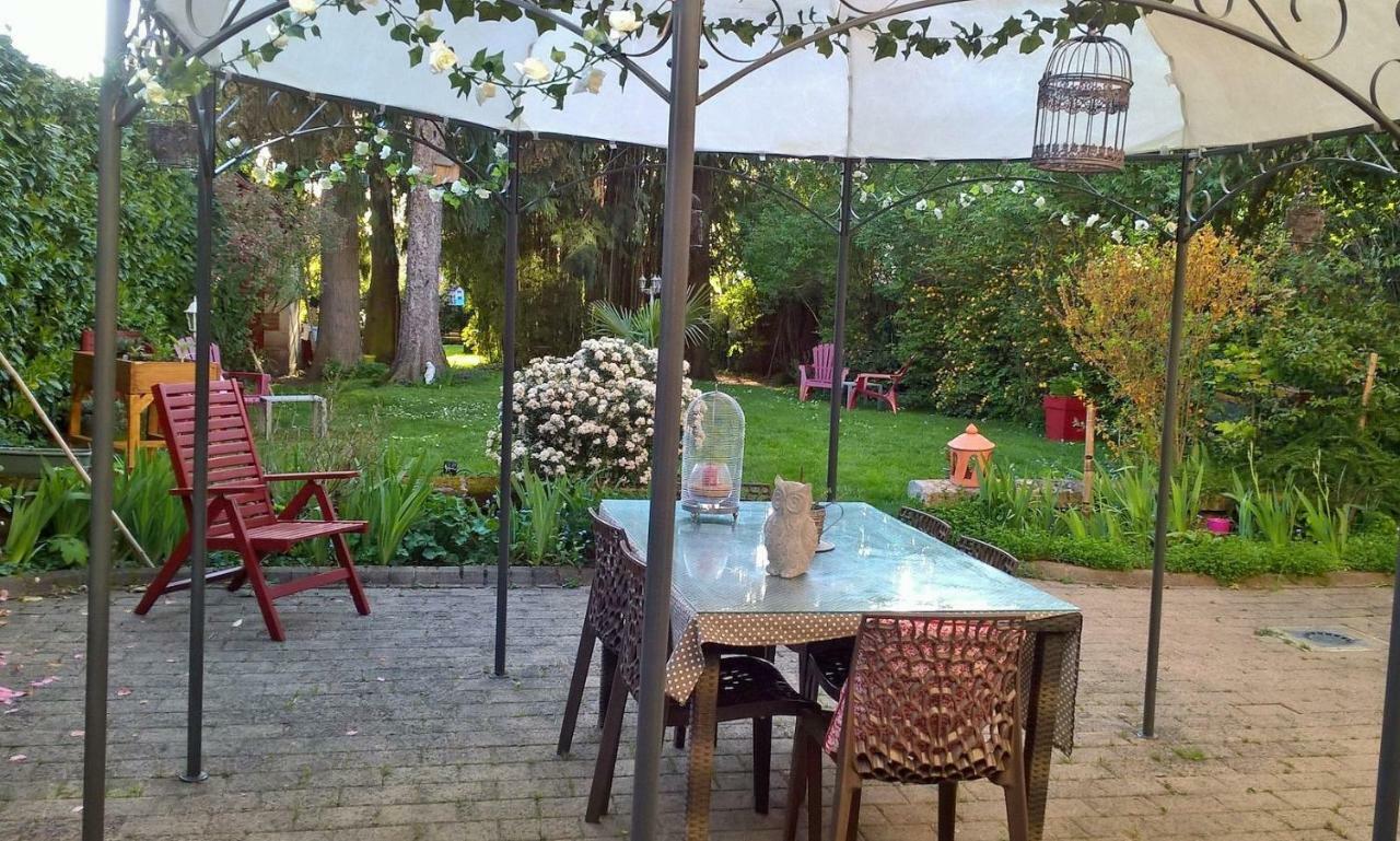 Le Clos Manceau Bed and Breakfast Le Mans Exteriör bild